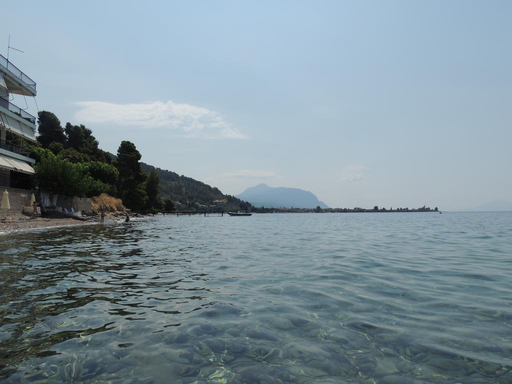 Panorama Leilighet Khrónia Rom bilde